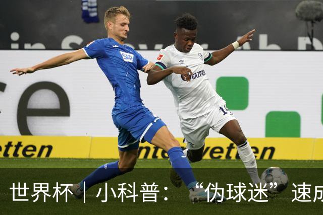 世界杯｜小科普：“伪球迷”速成手册